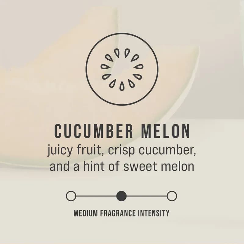 TCell™ Air Freshener Cucumber Melon Light Green Plastic Refill 6/Case