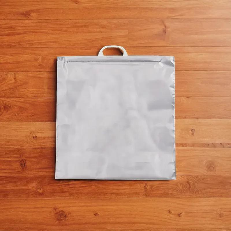 Bag 20X20X7 IN 30 LB Silver Thermal Insulated 25/Case