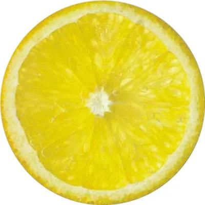 Lemon Slice Label 2 IN Round 500/Roll