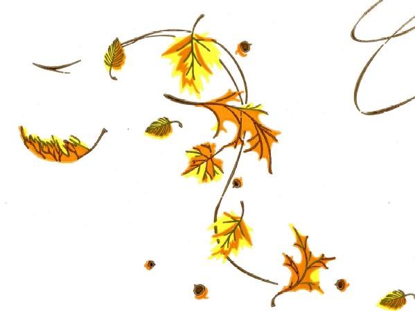 Multi-Purpose Roll 40IN X100FT Cellophane Multicolor Autumn 1/Roll