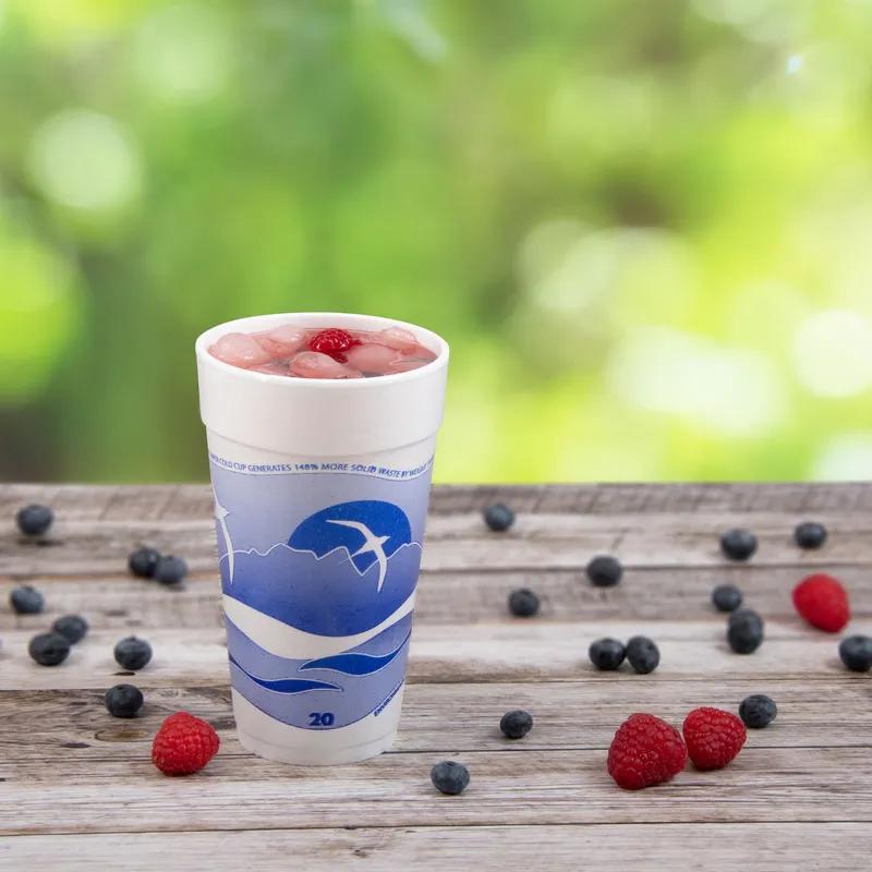 Dart® J Cup® Cup Insulated 20 OZ EPS Blue White Horizon® 25 Count/Pack 20 Packs/Case 500 Count/Case