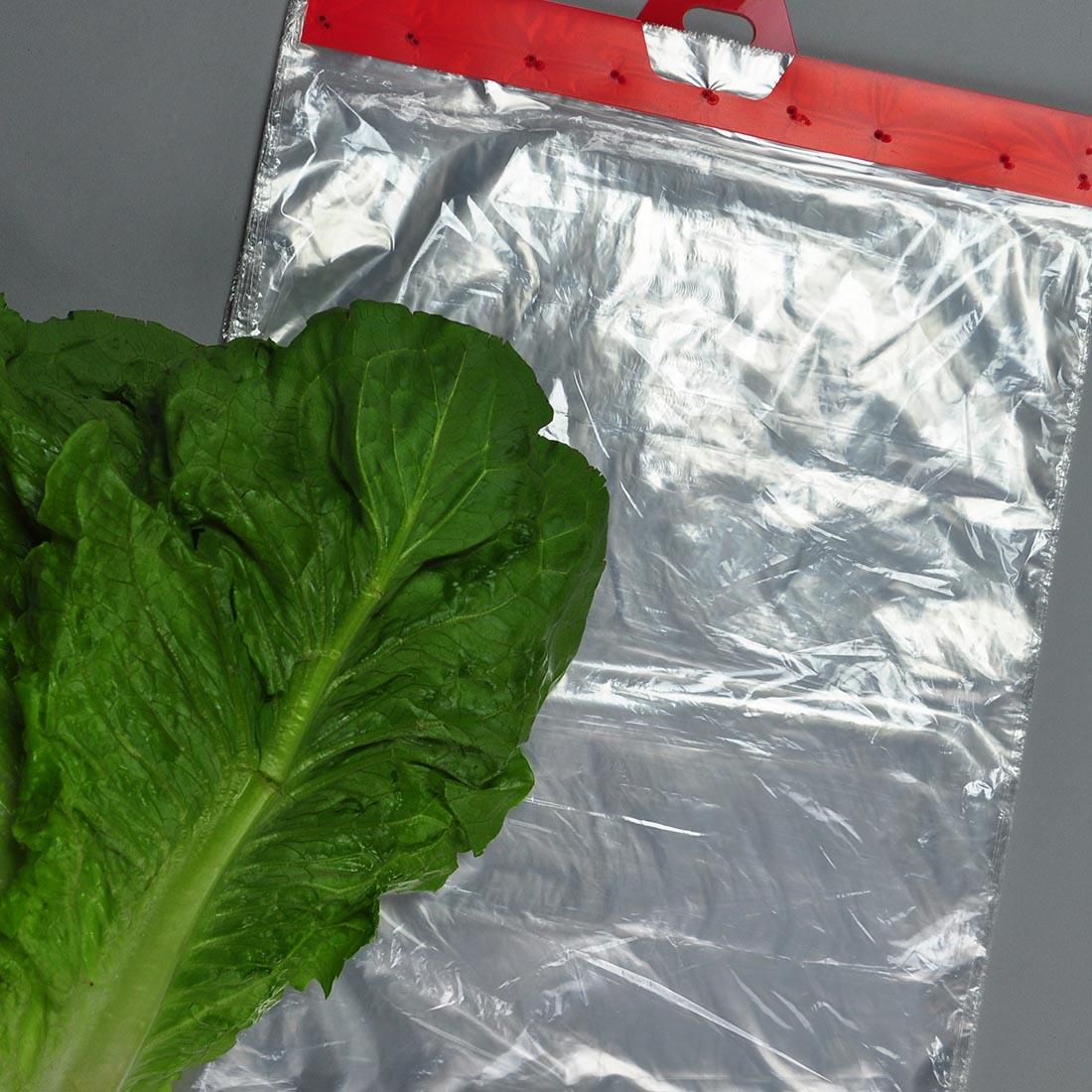 Bag 12X17+2 IN LLDPE FDA Compliant Header 2000/Case