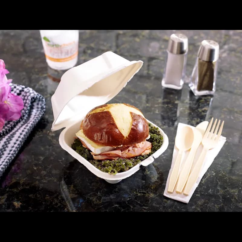 Take-Out Container Hinged With Dome Lid 5.8X5.8X3.3 IN Molded Fiber Natural Square Grease Resistant 500/Case