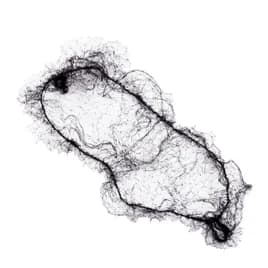 Hairnet Black Lightweight Nylon Latex Free 144 Count/Pack 20 Packs/Case 2880 Count/Case