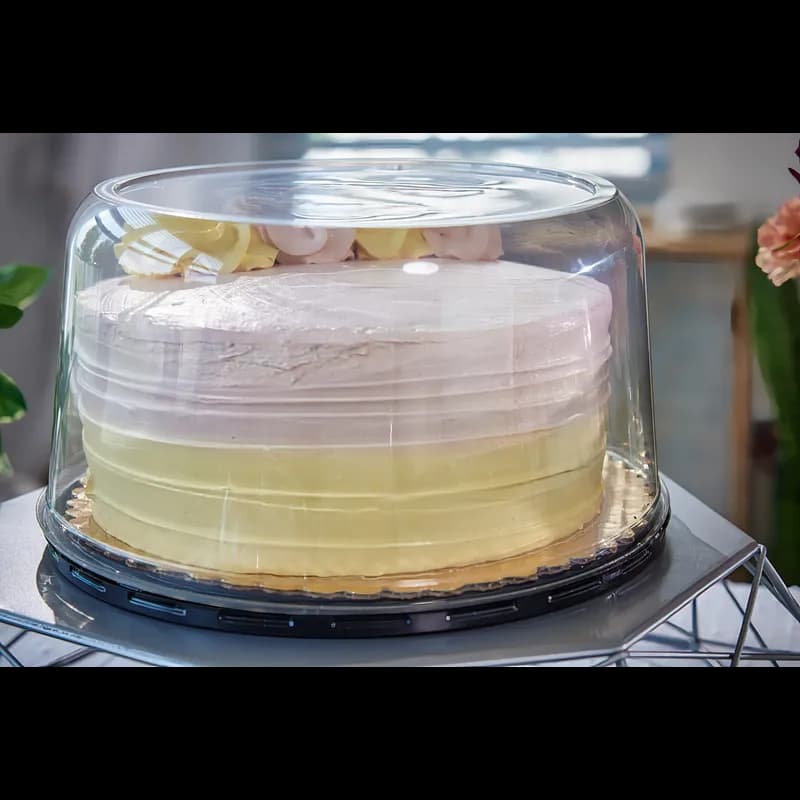 Cake Cheesecake Container 9.88X0.41 IN PET Black Round 300/Case