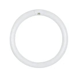 FC12T9/D 32W Light Bulb 32 Watt Provides Daylight Light Fluorescent 4 Pin 12/Case