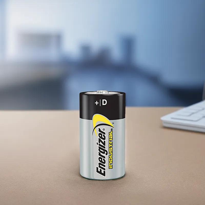 Battery D Alkaline 12/Pack