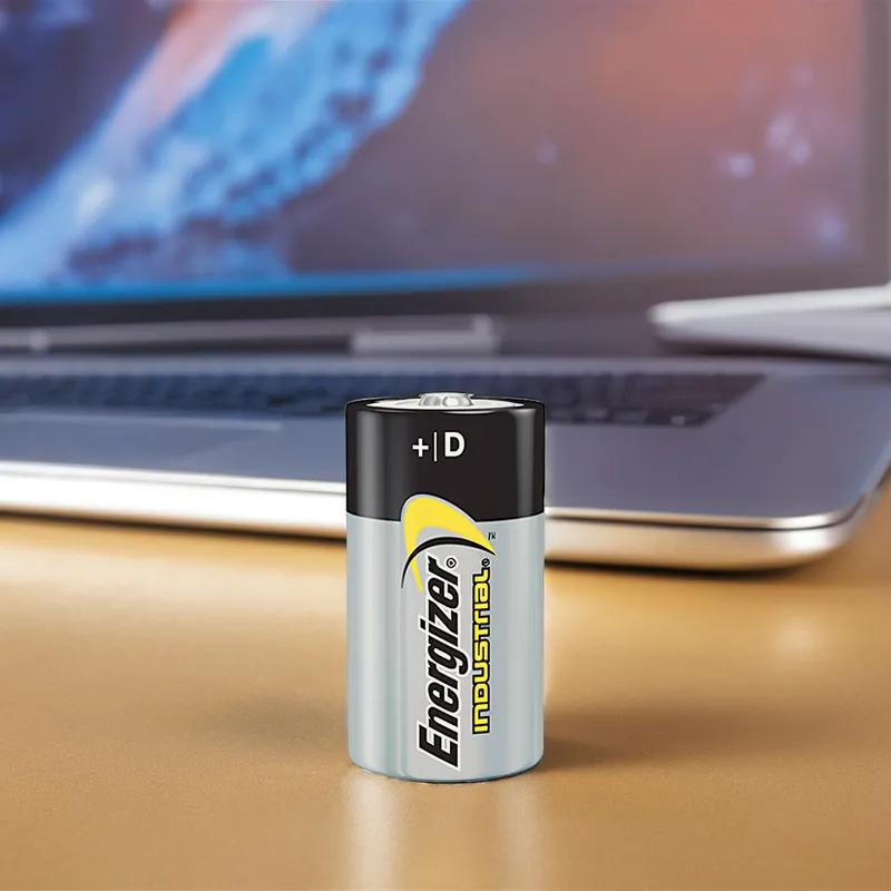 Battery D Alkaline 12/Pack