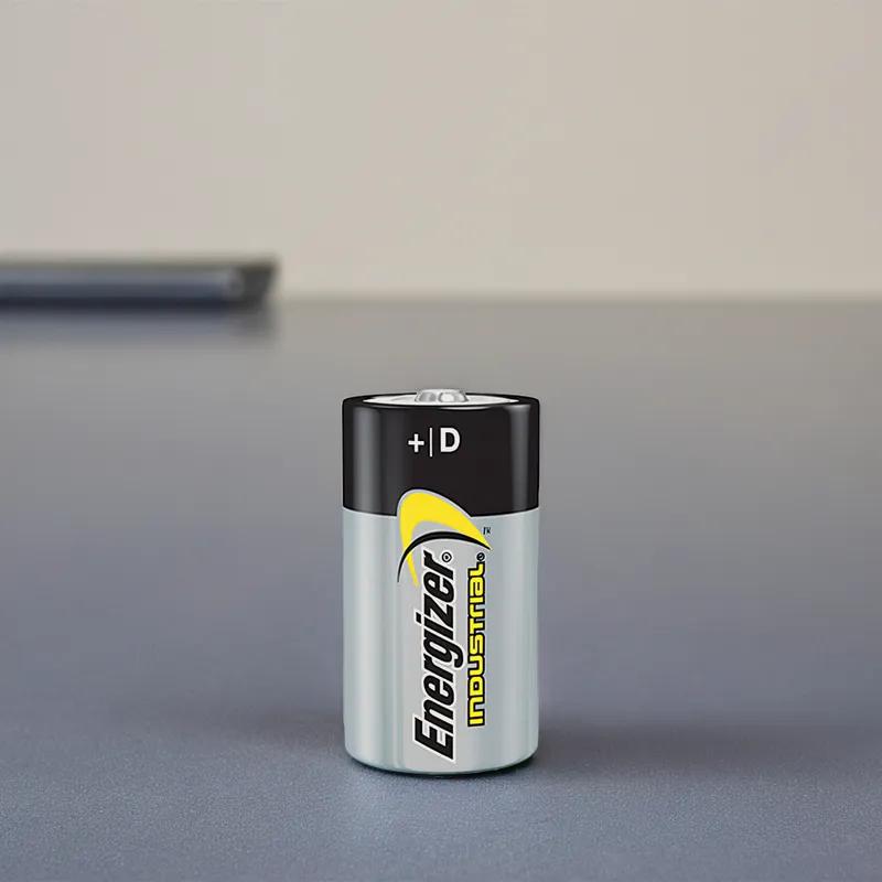 Battery D Alkaline 12/Pack