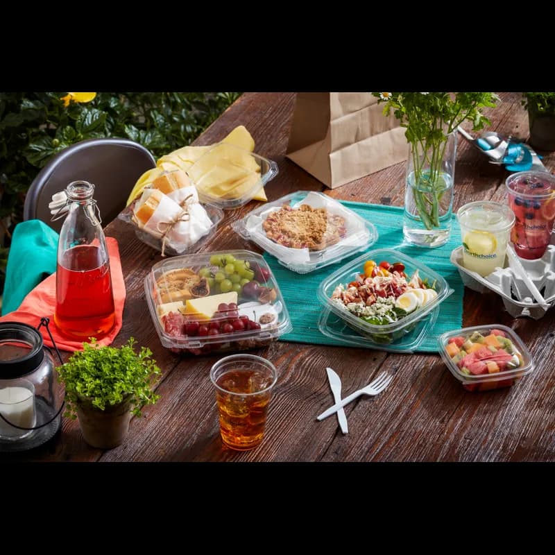 Take-Out Container Hinged With Dome Lid 8.87X9.22X2.81 IN RPET Clear Square 250/Case