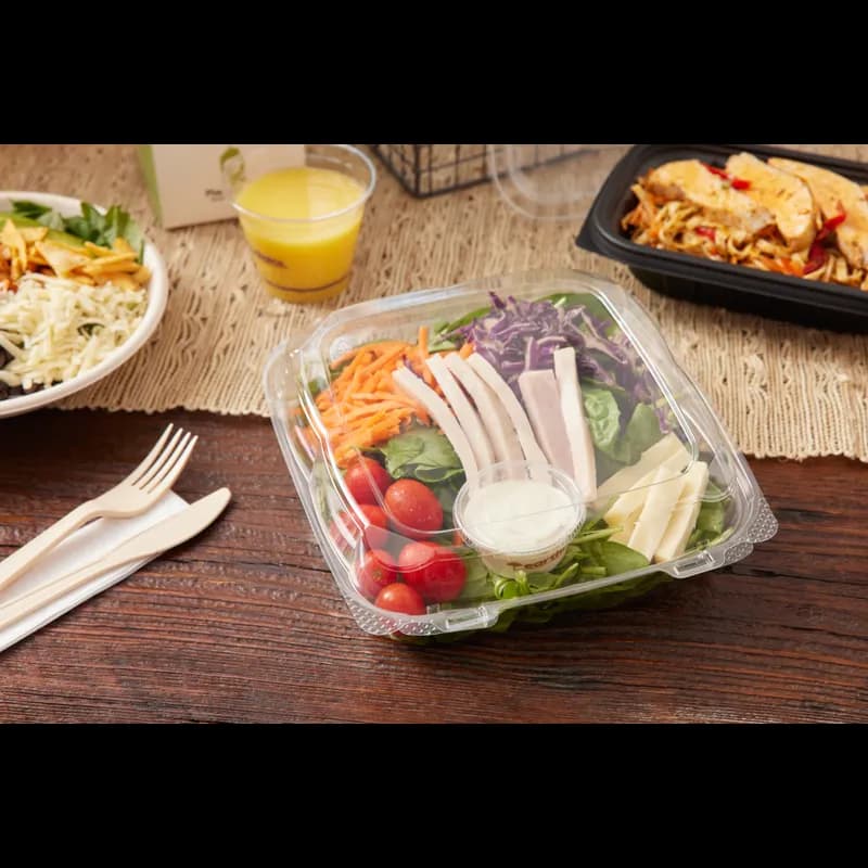 Take-Out Container Hinged With Dome Lid 8.87X9.22X2.81 IN RPET Clear Square 250/Case