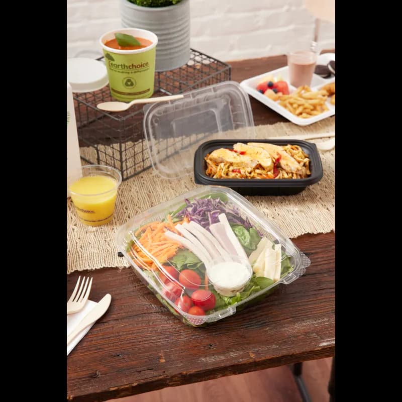 Take-Out Container Hinged With Dome Lid 8.87X9.22X2.81 IN RPET Clear Square 250/Case