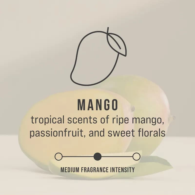 TCell™ Air Freshener Mango Blossom Light Green Plastic Refill 6/Case