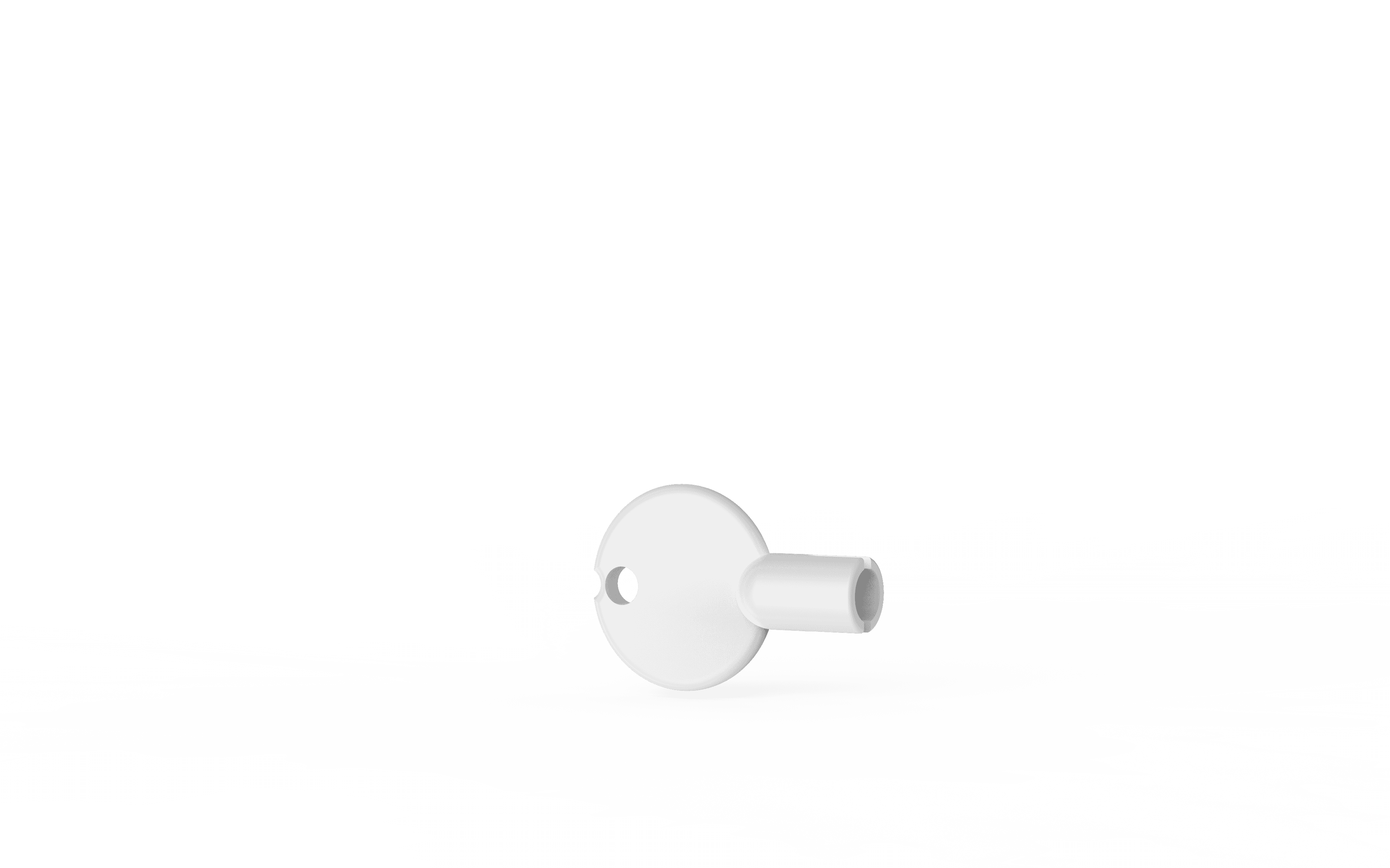 Proline Dispenser Key Plastic 1/Each