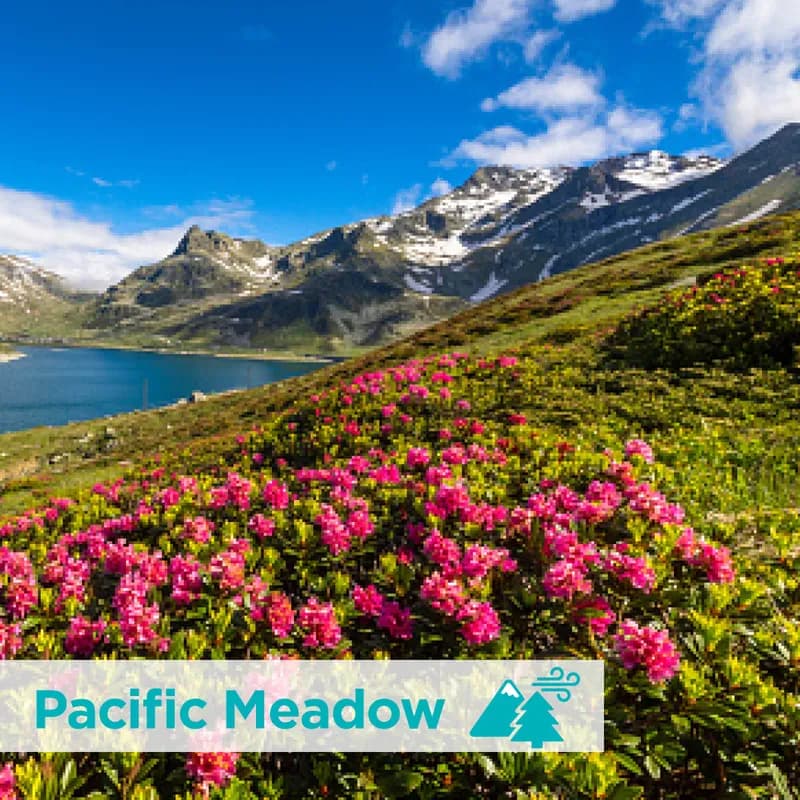 ActiveAire® Air Freshener Pacific Meadow Refill 12/Case