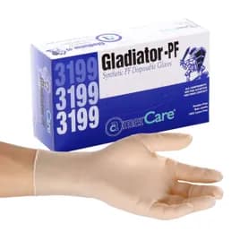 General Purpose Gloves Large (LG) Clear PVC Stretch 100 Count/Pack 10 Packs/Case 1000 Count/Case