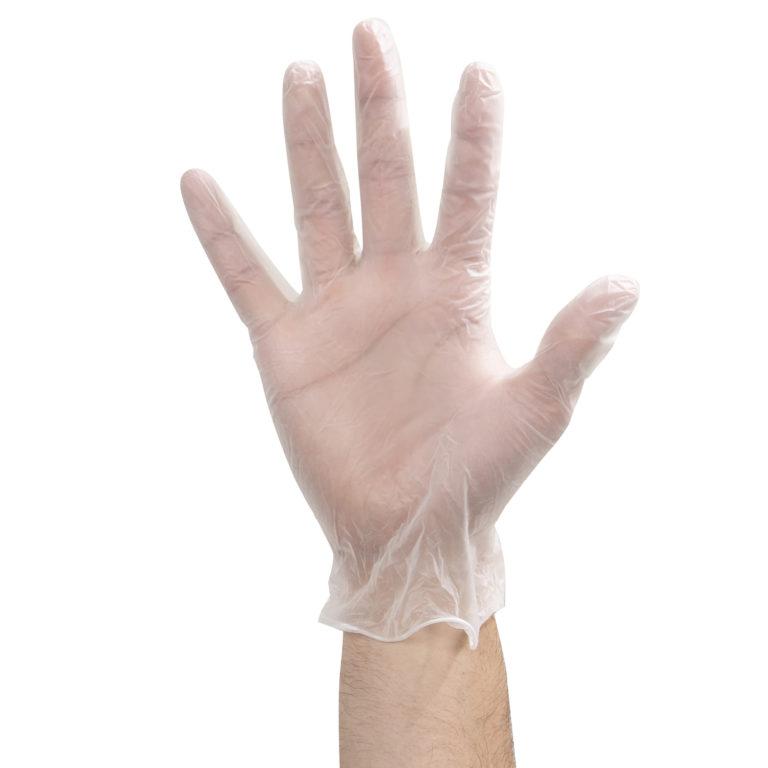 General Purpose Gloves Large (LG) Clear Vinyl 200 Count/Pack 4 Packs/Case 800 Count/Case