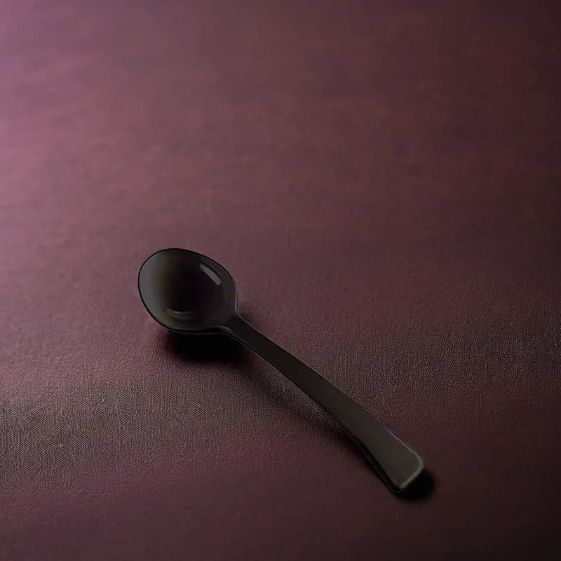Serving Spoon PP Black Heavy Duty 100/Case