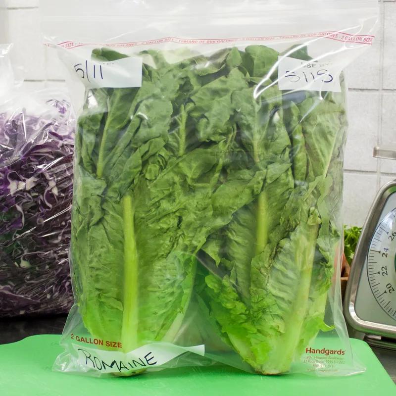 Zipgards® Storage Bag 13X15 IN 2 GAL LDPE Clear With Zip Seal Closure Reclosable 100/Case