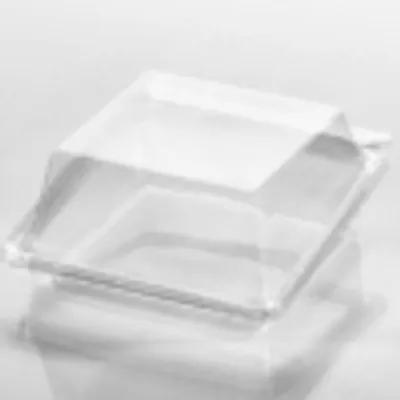 Fresh N' Sealed® Sandwich Deli Container Hinged With Dome Lid 5X5 IN PET Clear Square 360/Case