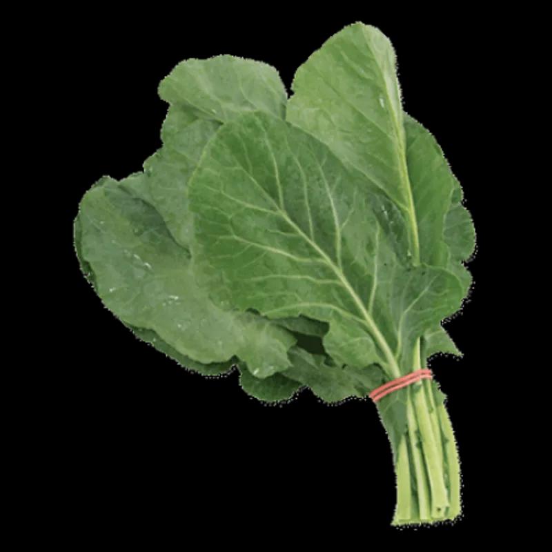 Asparagus Rubber Band #64 3.5X0.25 IN Rubber Latex Blue 1/Bag