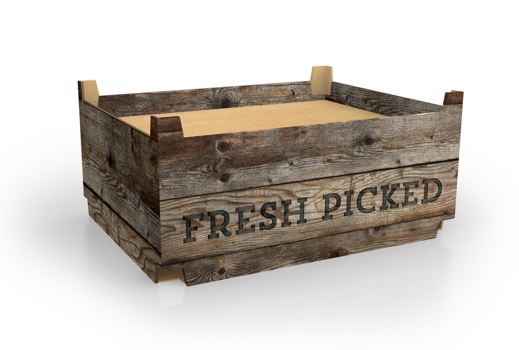 Serving Tray 10/Bundle