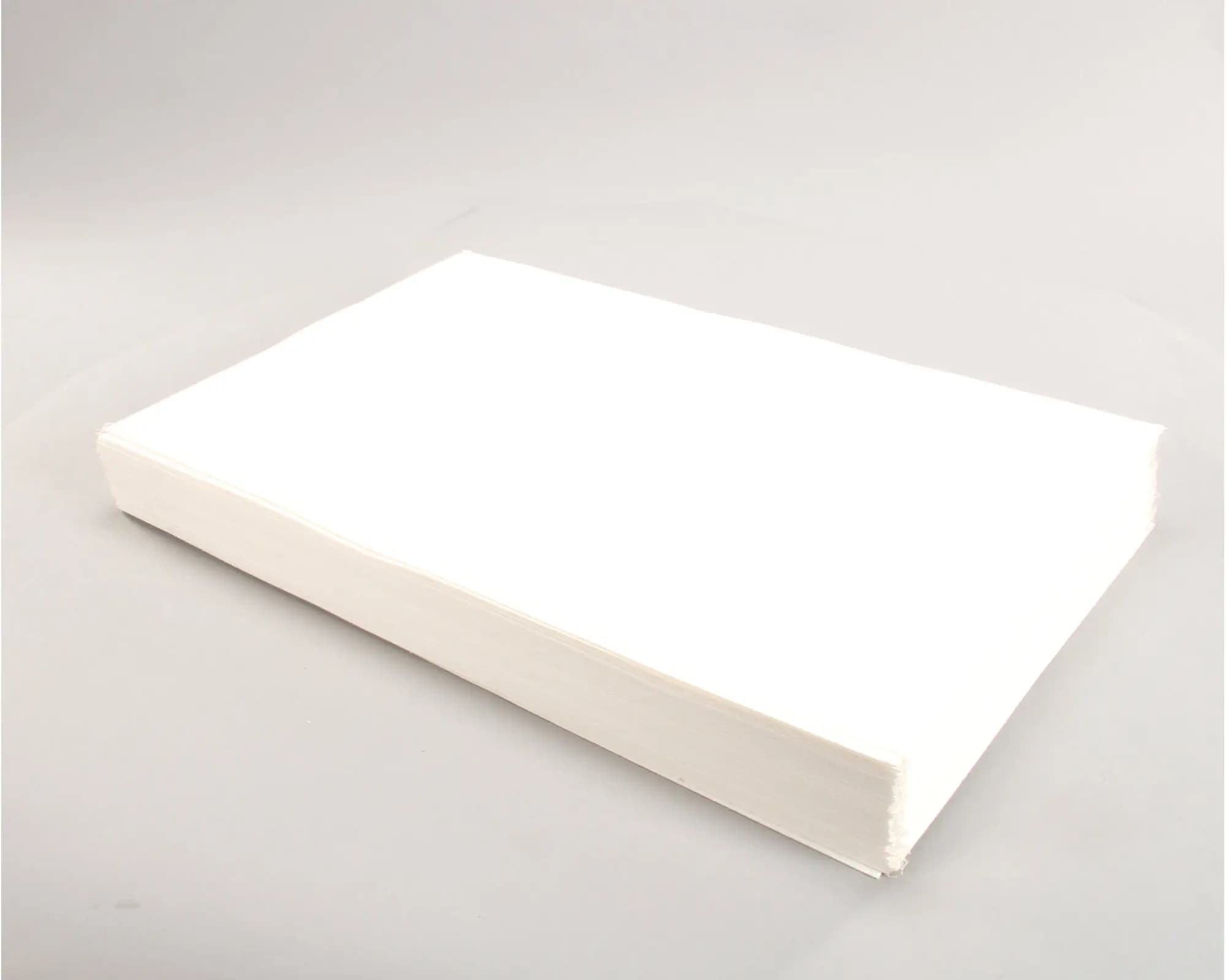 Fryer Filter Envelope 14X22 IN Paper 1.5 Inch Hole 1 Sided 100/Case