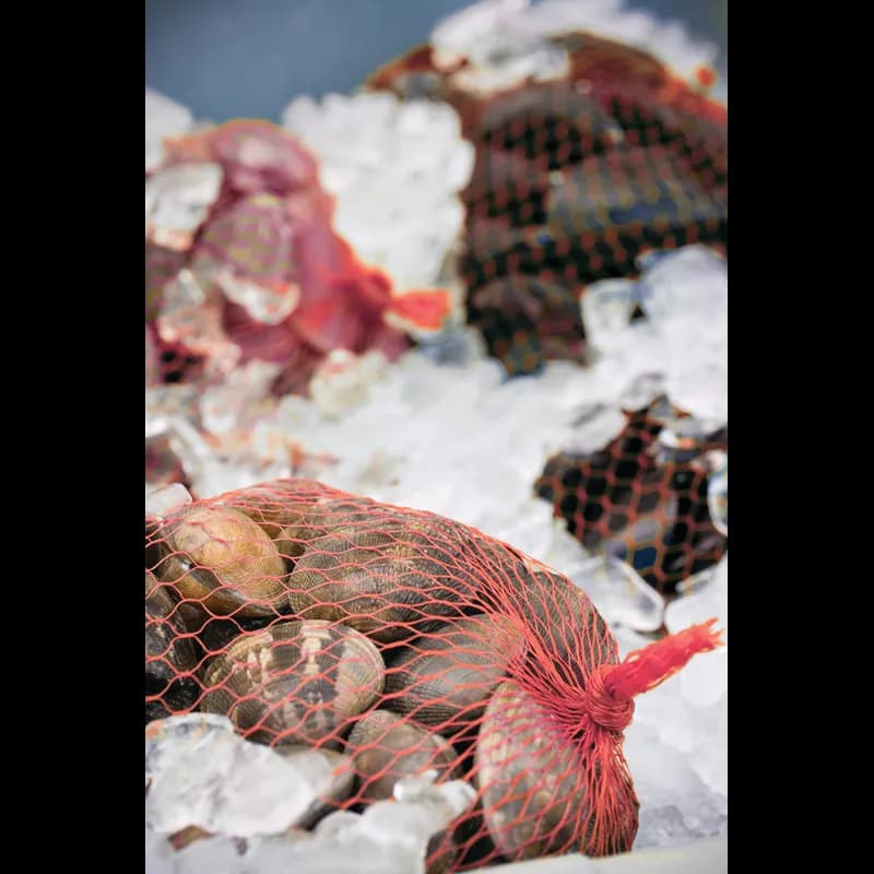 Bag 12X12X15.75 IN Plastic Red Mesh & Net 1000 Count/Pack 1 Packs/Case 1000 Count/Case