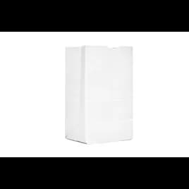 Bag 8.25X6.125X15.875 IN 25 LB Virgin Paper 40# White With Self-Opening (SOS) Closure Squat 500/Pack