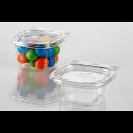 Deli Container Hinged With Flat Lid 2 OZ PET Clear Square 1050/Case