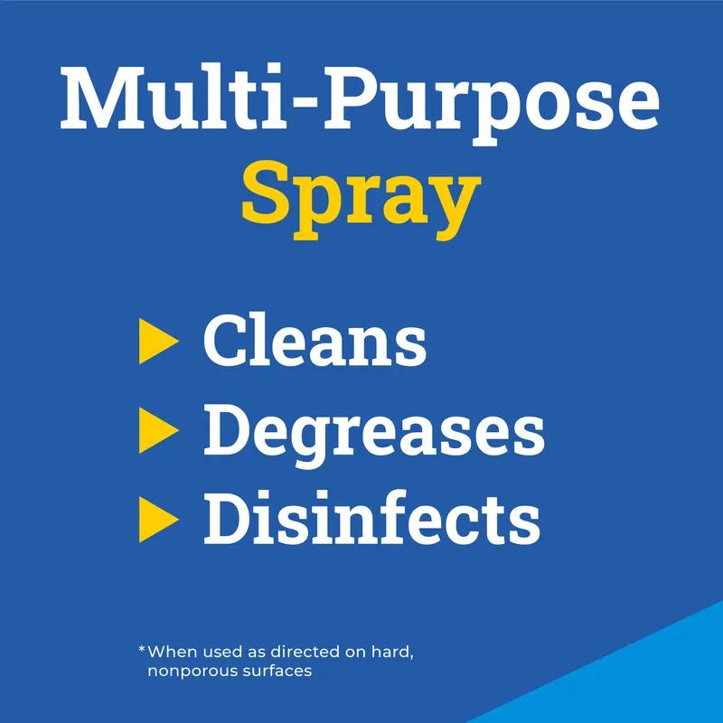 Formula 409® Citrus Floral All Purpose Cleaner Degreaser Deodorizer 1 GAL Multi Surface RTU Antibacterial 4/Case
