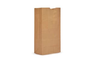 Grocery Bag Paper 16# Kraft 500/Pack