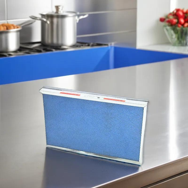 Charcoal Fryer Filter 12.375X20X2 IN 1/Each