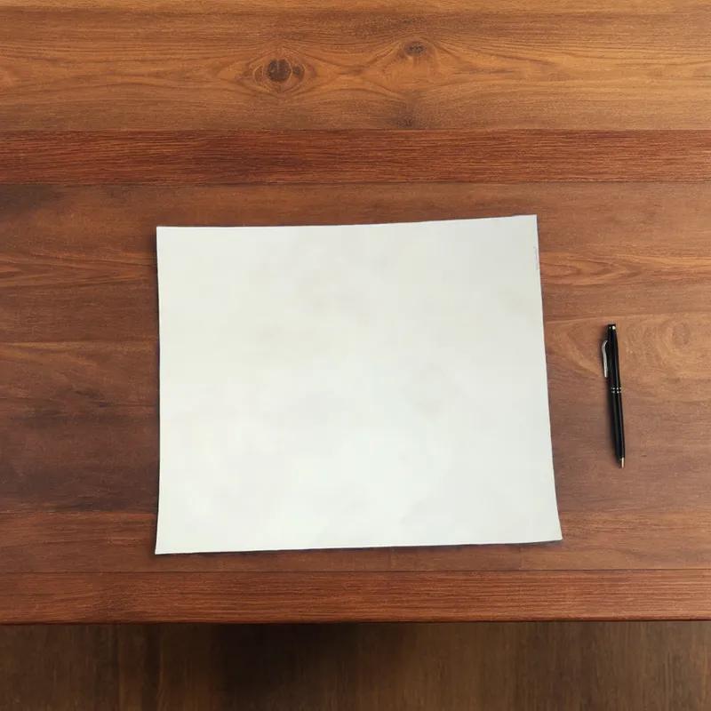 Lab Sheet 19X22.5 IN White 100/Bundle