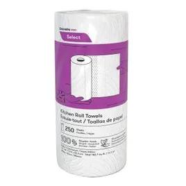 Household Roll Paper Towel Jumbo 2PLY 250 Sheets/Pack 12 Packs/Case 3000 Sheets/Case