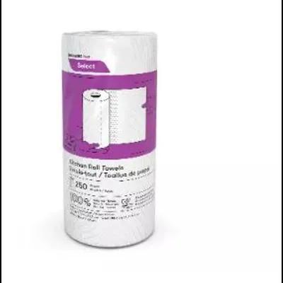 Household Roll Paper Towel Jumbo 2PLY 250 Sheets/Pack 12 Packs/Case 3000 Sheets/Case