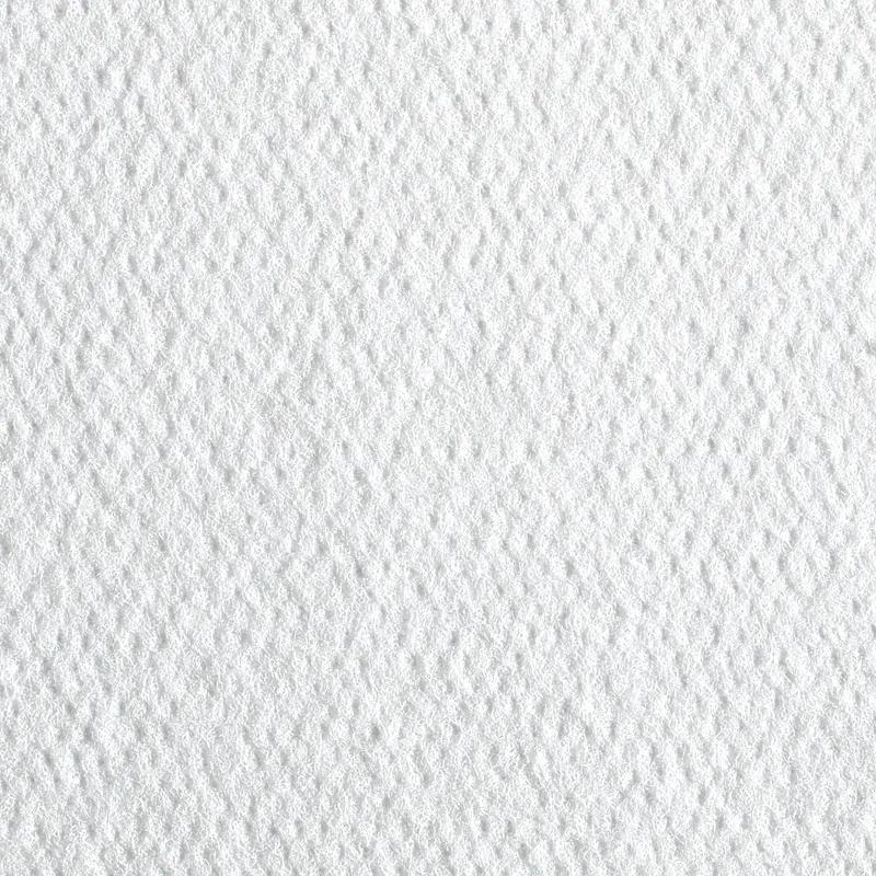 Pacific Blue Select Healthcare Washcloth 10X13 IN 1 Cellulose White 1/4 Fold Patient Care 55 Sheets/Pack 24 Packs/Case