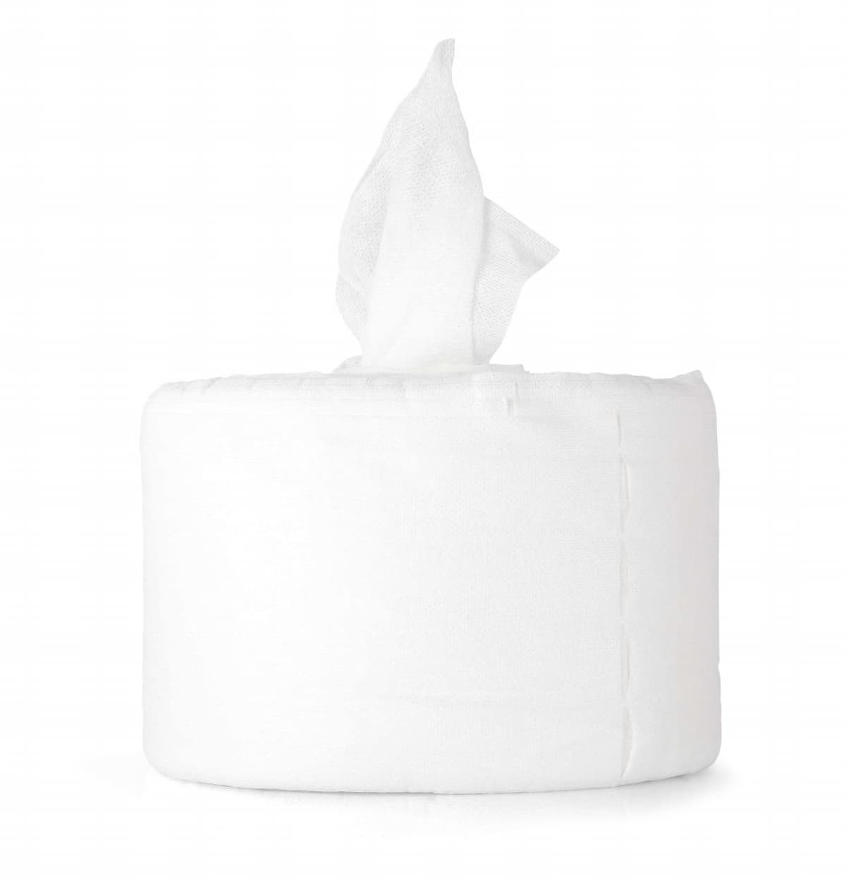 Cleaning Cloth 11X12.5 IN Viscose Polyester White Disposable 6/Case