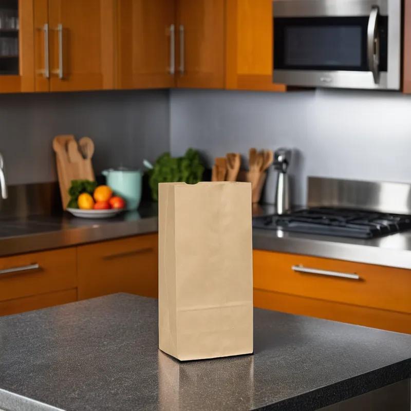 Grocery Bag 6.313X4.188X13.375 IN Paper 10# Brown 500/Pack