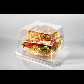 Fresh N' Sealed® Sandwich Take-Out Container Hinged With Dome Lid Large (LG) 6X6X3 IN PET Clear Square 260/Case