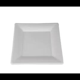 ChampWare Plate 10X10 IN Molded Fiber White Square 500/Case