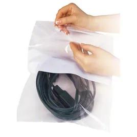 Bag 6X9 IN Plastic 2MIL With Reclosable Zip Seal Closure Label Strip 1000/Case